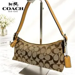 COACH シグネチャー アクセサリーポーチ ワンショルダー y2k