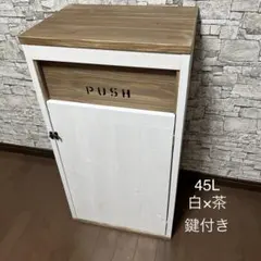 ダストボックス　アメリカン　お洒落ゴミ箱　45L 分別