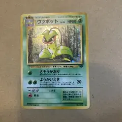 旧裏】ウツボット LV.42 ホロ 第2弾拡張パック「ポケモンジャングル