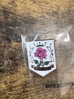 岩田剛典 GAN ピンバッジ