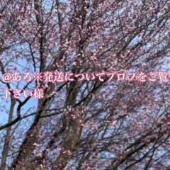 【専用】ボーダーシアーニットトップスグレー　薄手　グランジ　y2k フード付き