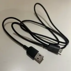 SONY WALKMAN 充電ケーブル 純正