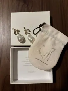 2025年最新】Ripsalis ピアスの人気アイテム - メルカリ