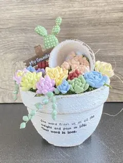 ❤️専用❤️多肉植物❤️そのまま飾れる寄せ植え❤️ハートうさぎちゃん~❤️ ❤️専用❤️多肉植物❤️そのまま飾れる寄せ植え❤️ハートうさぎ