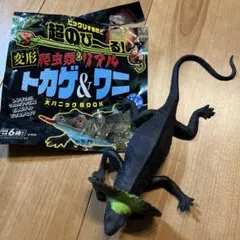 Item thumbnail for item 8cc7f34b-c4a1-4a9b-a522-9bd391f47a9b