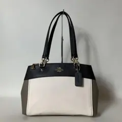 2511-188｜美品｜コーチ ハンドバッグ レザー マルチカラー