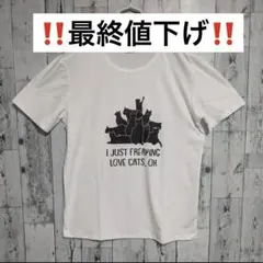 【‼️本日限定‼️】　Tシャツ カットソー　イラスト　XL ホワイト　猫　プリント