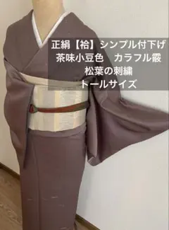 正絹【袷】カラフルな霰 松葉の刺繍付下　シンプル上質 トール167 茶味小豆