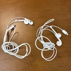【本体のみ・2つセット】Apple純正 有線イヤホン Lightning接続
