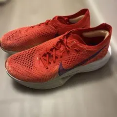 ヴェイパーフライ3 25.0