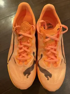 Item thumbnail for item 7f7b9e5d-0ed3-4dd8-80d0-b94a5af2d990