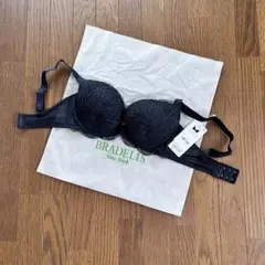 新品 BRADELIS New York ブラジャー ステップ2 ナオミ E65のサムネイル