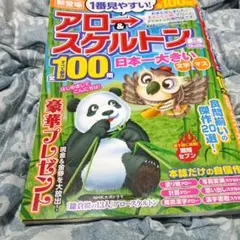 アロースケルトン雑誌。