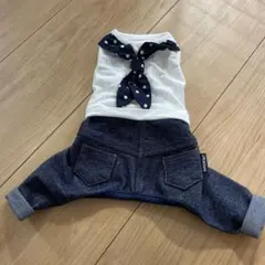 Item thumbnail for item 95681dbc-dbe5-4fe6-abc1-38b1993fe960