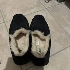 Item thumbnail for item 7f313fc0-626d-4176-b7bc-8ecbe8280bca