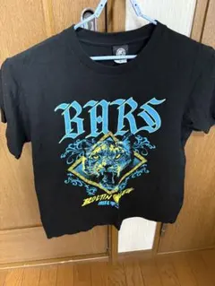 Item thumbnail for item 49688bf1-939e-4339-972d-fba9a69f04e3