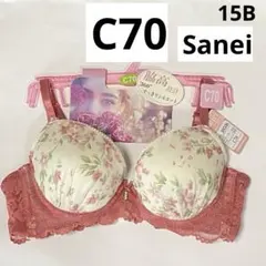 Item thumbnail for item 83bce473-5f42-444e-b3ab-235d584a0104