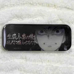 鬼滅の刃 お楽しみくじ レンチキュラー 台詞ロング缶バッジ 義勇