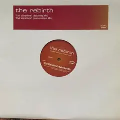 The Rebirth ‎リバース Evil Vibrations アナログLP - メルカリ