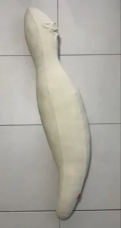 ロフテー 曲線形 黄色抱き枕 sleepnic