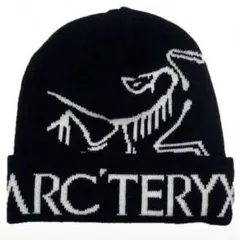 ARC'TERYX ニット帽 ビーニー