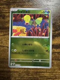マダツボミ モンボミラーのサムネイル
