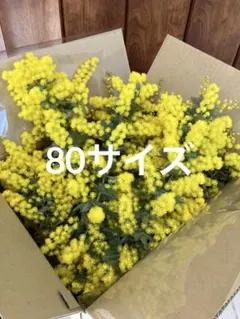 ノリスケ様 リクエスト 2点 まとめ商品