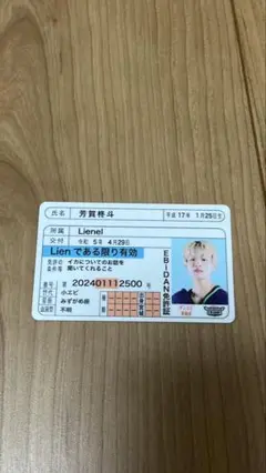EBiDAN61種ランダム免許証&トレカ