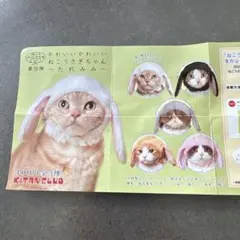 2026年最新】ねこうさぎちゃんの人気アイテム - メルカリ