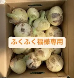 ふくふく福様専用