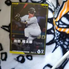 梅野 隆太郎 Tigers プロ野球カード