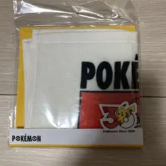 ポケモン 30周年 ミニタオル ピカチュウ スリコ 3coins