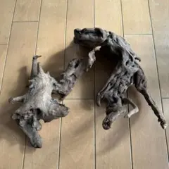 流木 インテリア装飾用 自然な形状