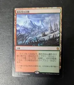 MTG 樹木茂る山麓 日本語 1枚 - メルカリ
