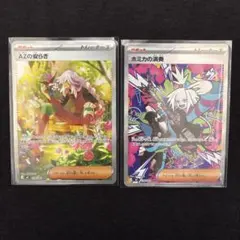 AZの安らぎ & ホミカの演奏 SAR