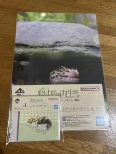 一番くじ 爬虫類＆両生類 J賞 とH賞　レオパセット