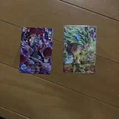 スーパードラゴンボールヒーローズ カード2枚セット