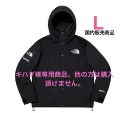 【L】19SS Supreme×The North Face Arc Logoのサムネイル
