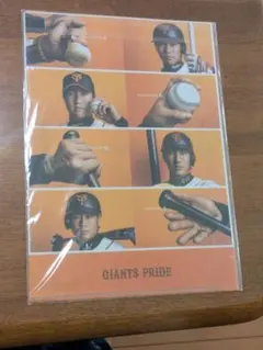 Item thumbnail for item 5674f11b-6ebd-47a0-8ee3-6f956ba69cb9