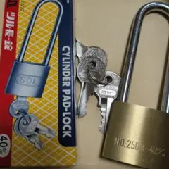 Item thumbnail for item 604fb1d0-65b7-4c4b-842f-c3bedd2d801e