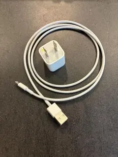 【Apple純正】 LightningケーブルとACアダプタ