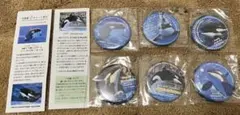 名古屋港水族館 シャチ『アース』 缶バッジ - メルカリ