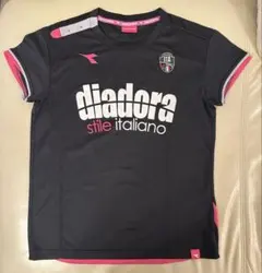 Item thumbnail for item 91117a69-c1d0-4caa-a151-eb4e6fe573d2