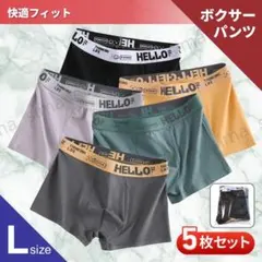 ボクサーパンツ ブリーフ メンズ ローライズ L 5枚セット シンプル 下着