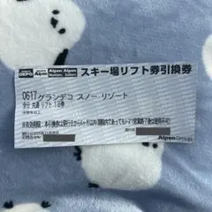 2026年最新】グランデコリフト券の人気アイテム - メルカリ