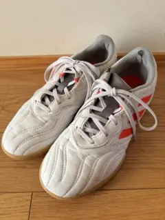 Item thumbnail for item 56a6fbfd-eeaa-44e7-ad03-2f5eb3e82262