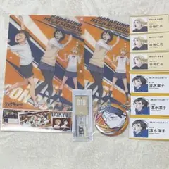 ハイキュー‼︎ 烏野高校 清水潔子 谷地仁花 まとめ売り