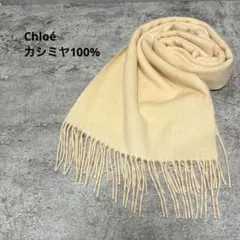 2026年最新】カシミヤマフラー chloeの人気アイテム - メルカリ