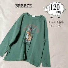 Item thumbnail for item 97686f6c-4c0f-49ab-972f-33c8aef15c3f