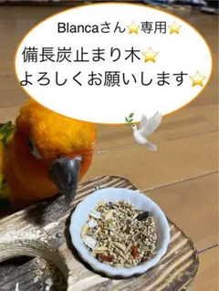 Item thumbnail for item f58119ba-85d1-4161-a09a-0c3ec2cfe9a5